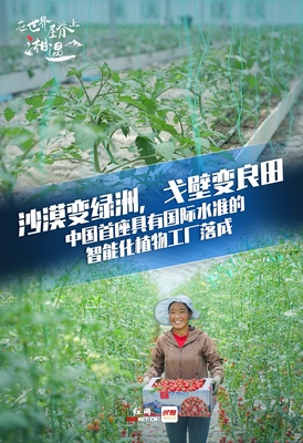 在世界屋脊湘遇丨湖南援藏又三年，高原會(huì)記得他們的故事 溫室
